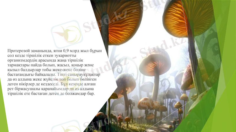 Slide 12