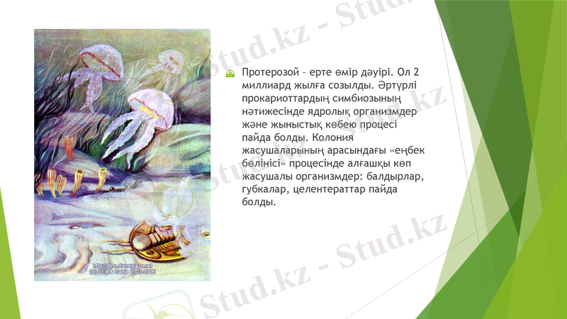 Slide 5