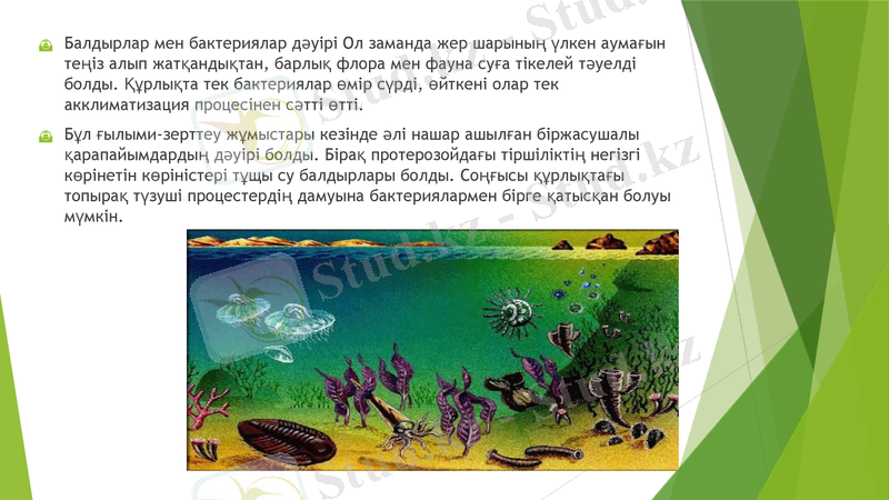 Slide 7