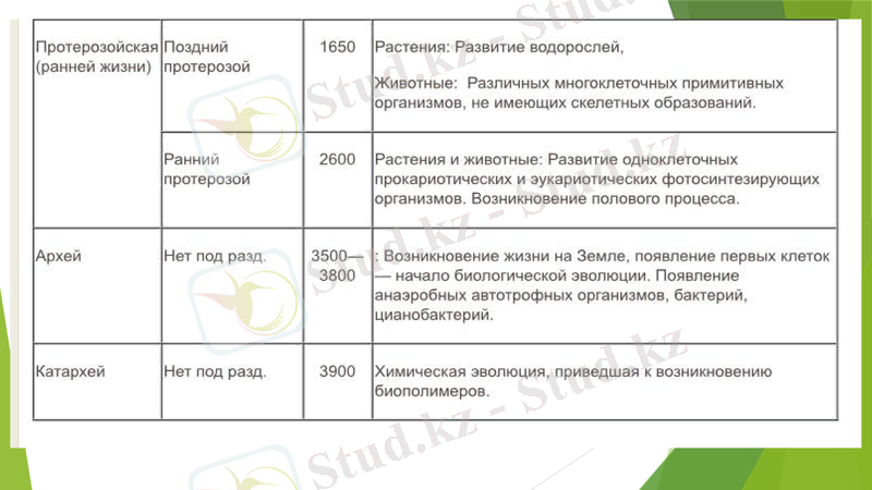 Slide 8