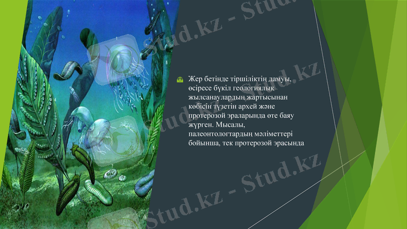 Slide 9