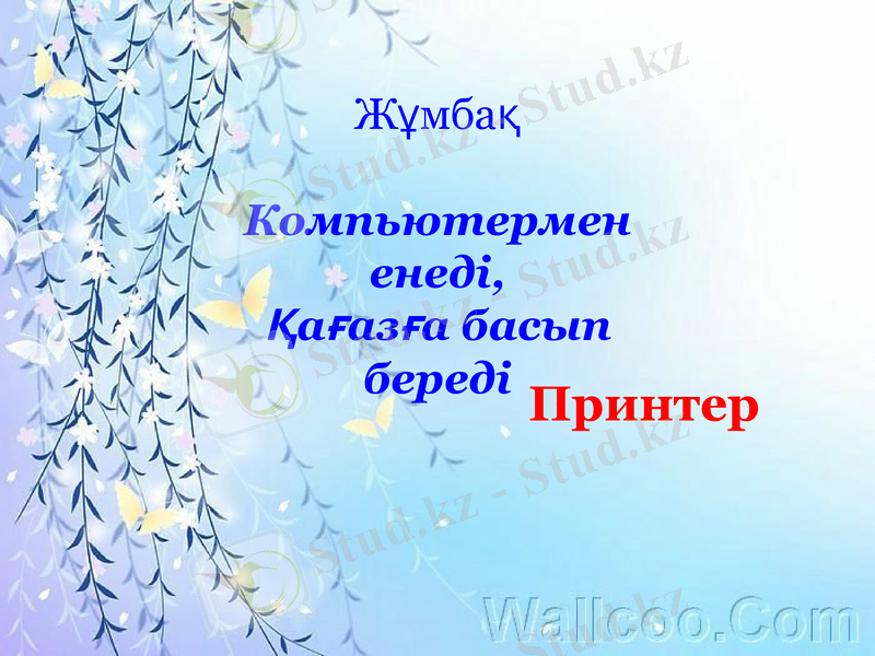 Slide 13