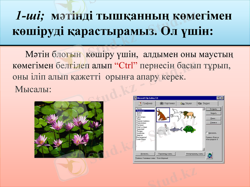 Slide 5