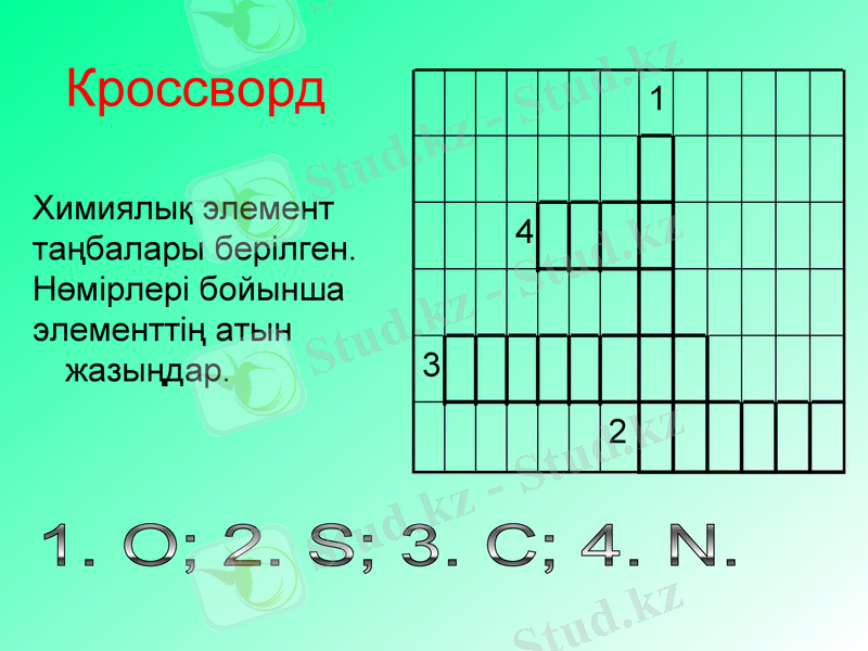 Slide 11
