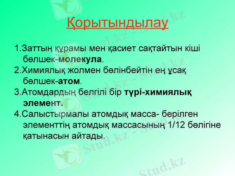 Slide 13