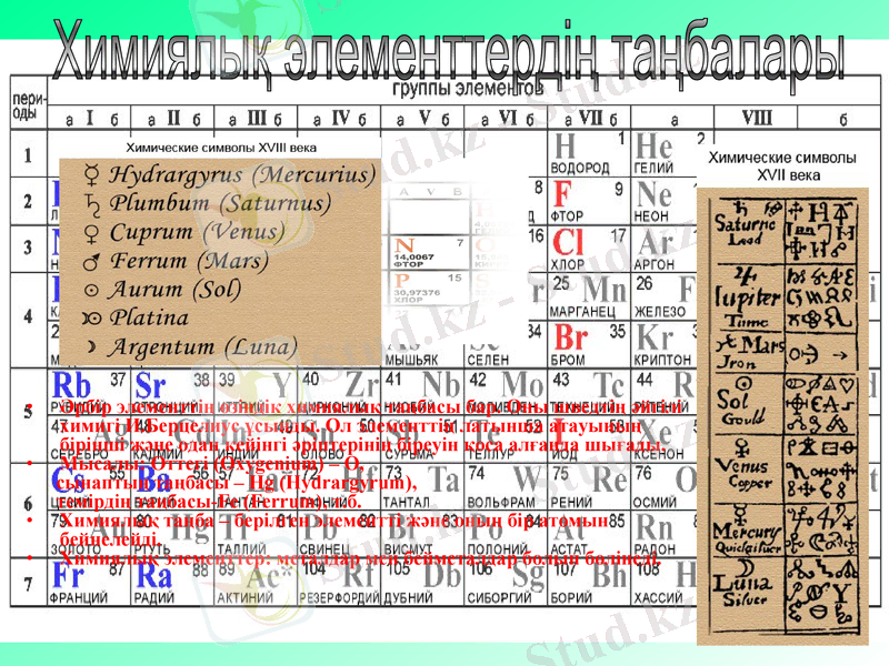 Slide 7