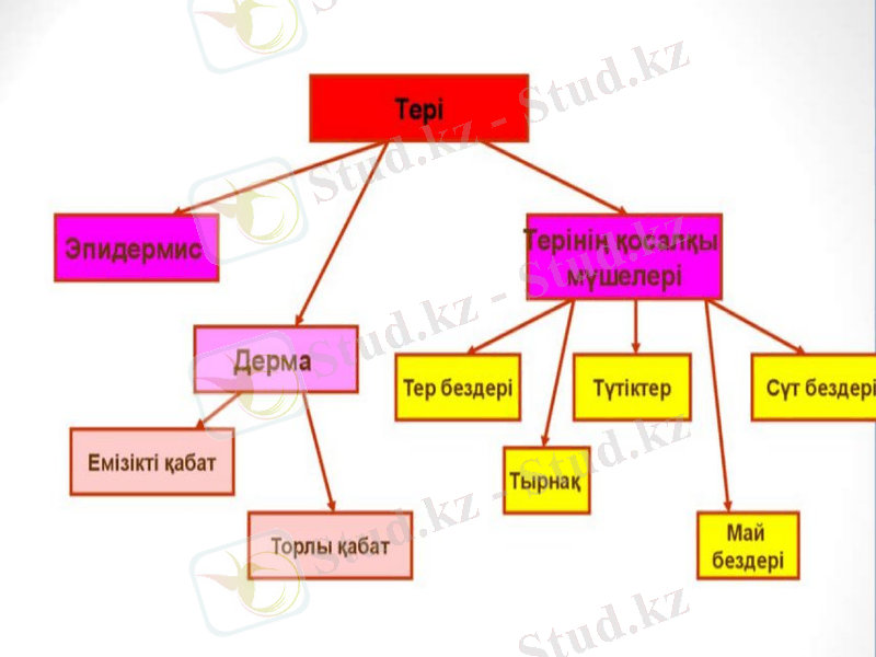 Slide 6