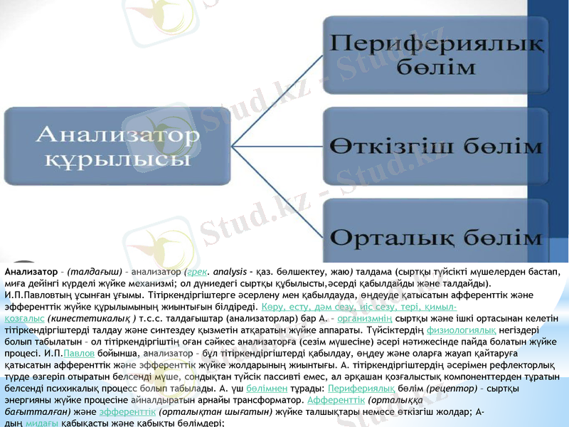 Slide 7