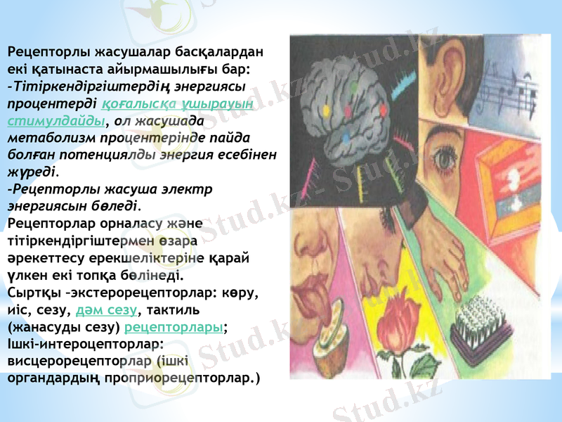 Slide 9