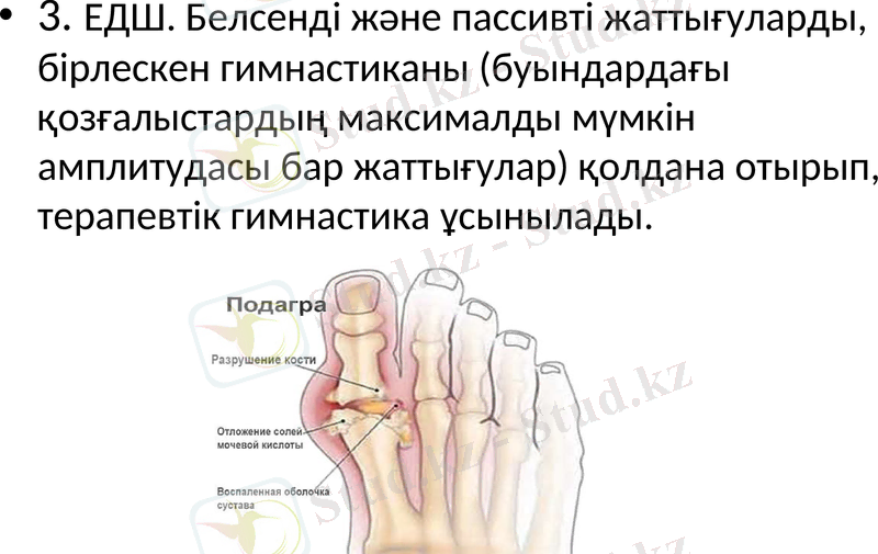 Slide 10