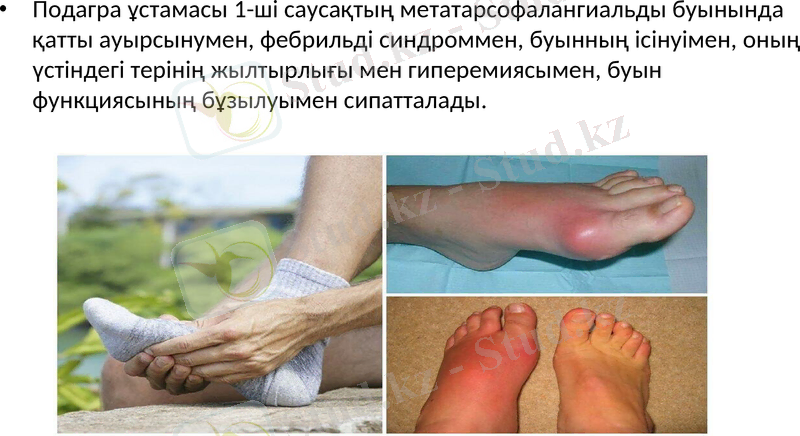 Slide 6