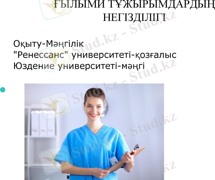 Slide 12