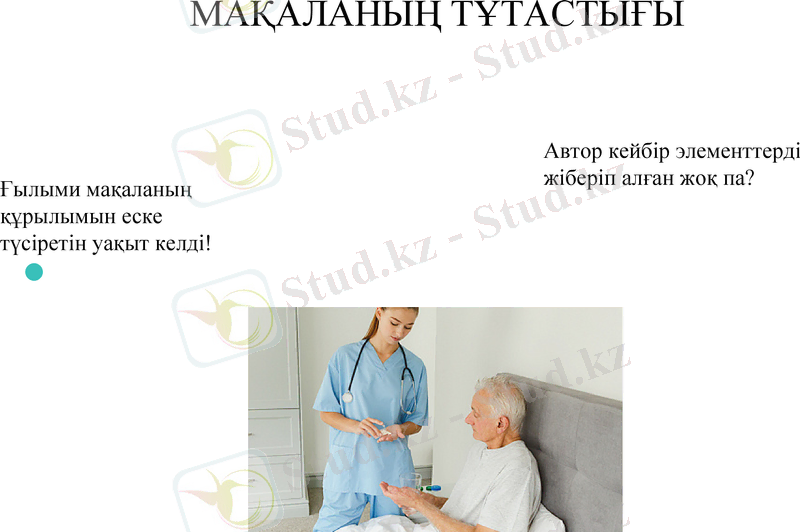 Slide 13