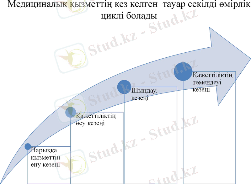 Slide 11