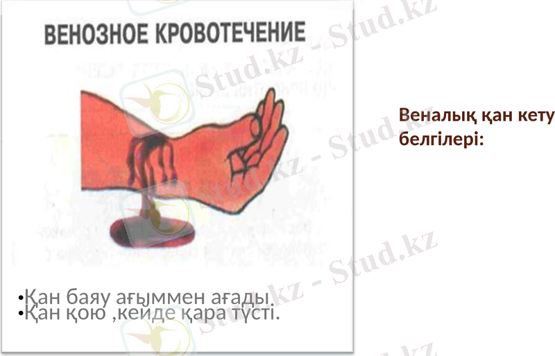 Slide 10