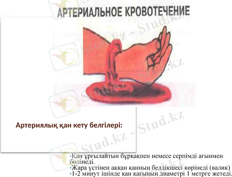 Slide 9