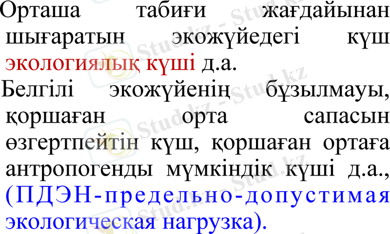 Slide 11