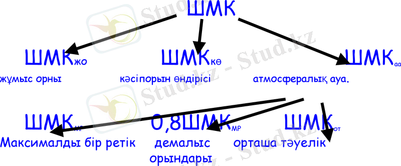 Slide 13