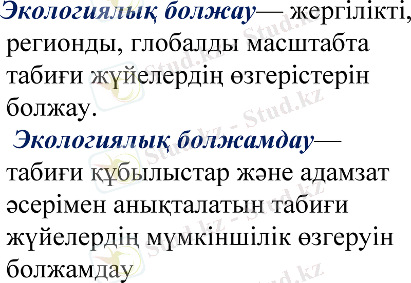 Slide 15