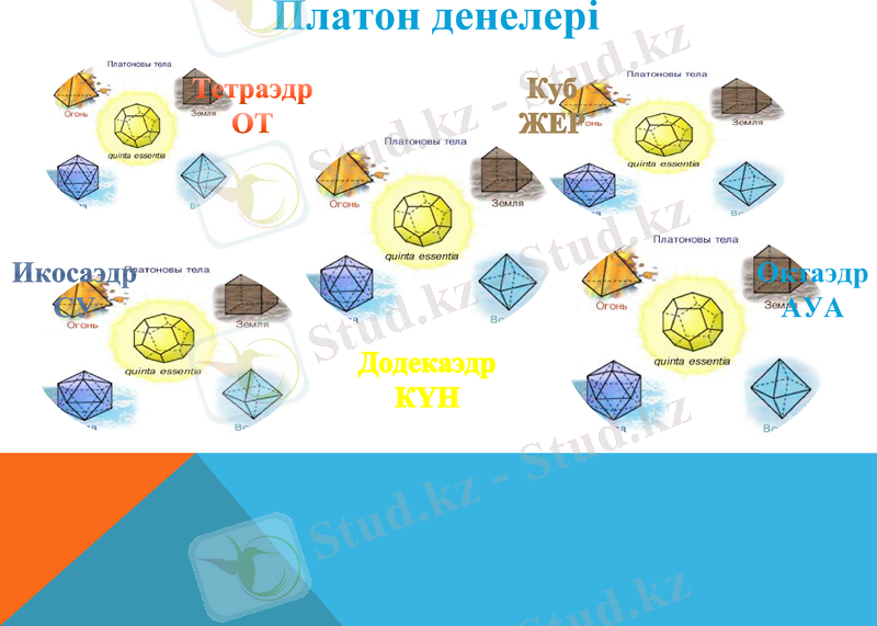 Slide 12