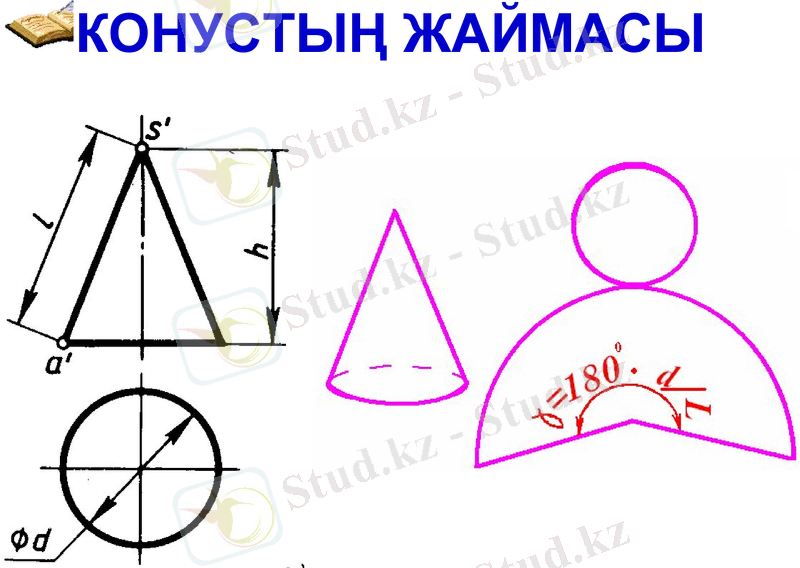 Slide 31