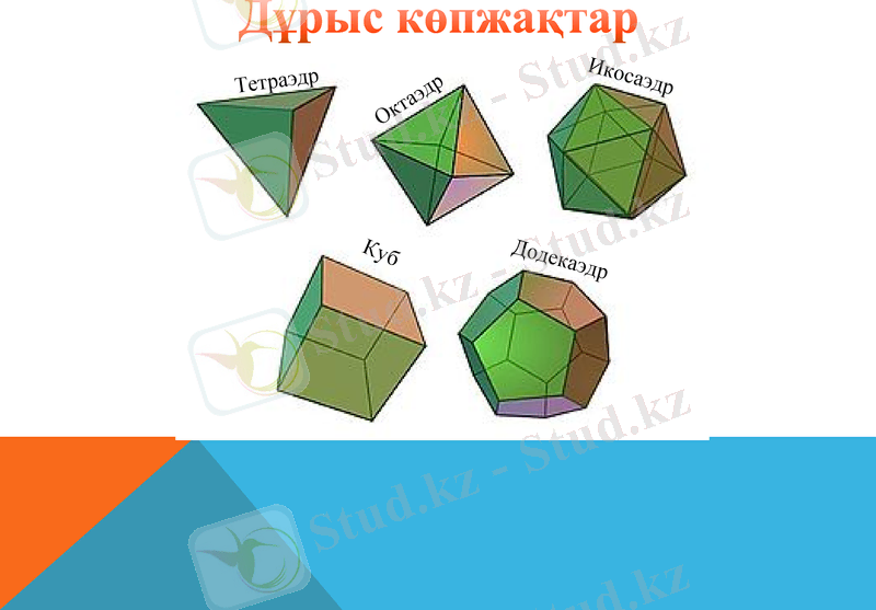 Slide 9