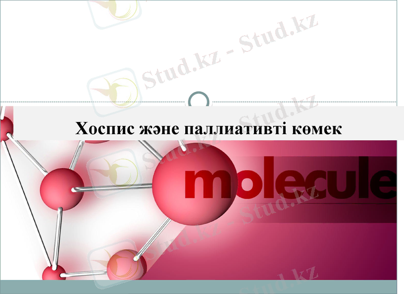Slide 1