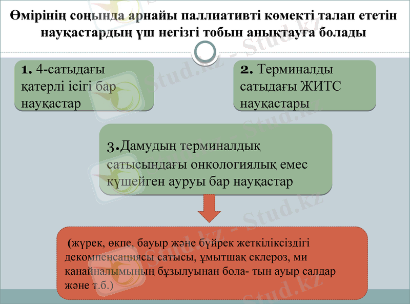 Slide 11