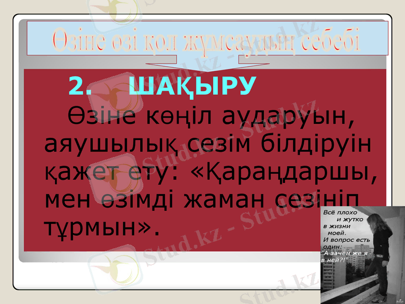 Slide 11