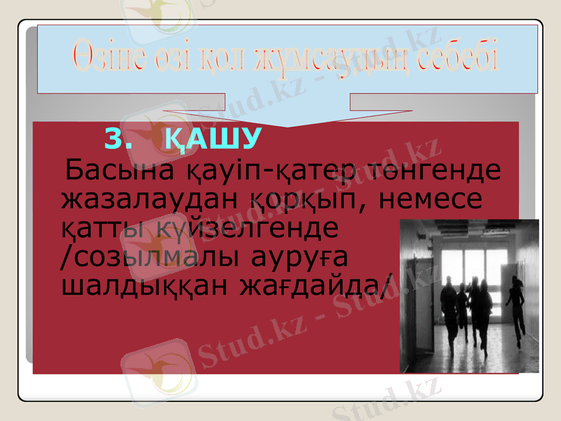 Slide 12