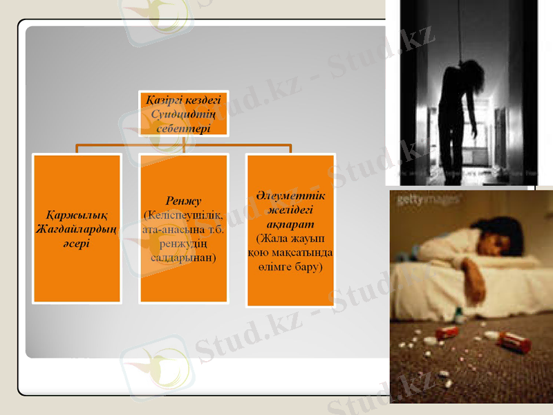 Slide 15