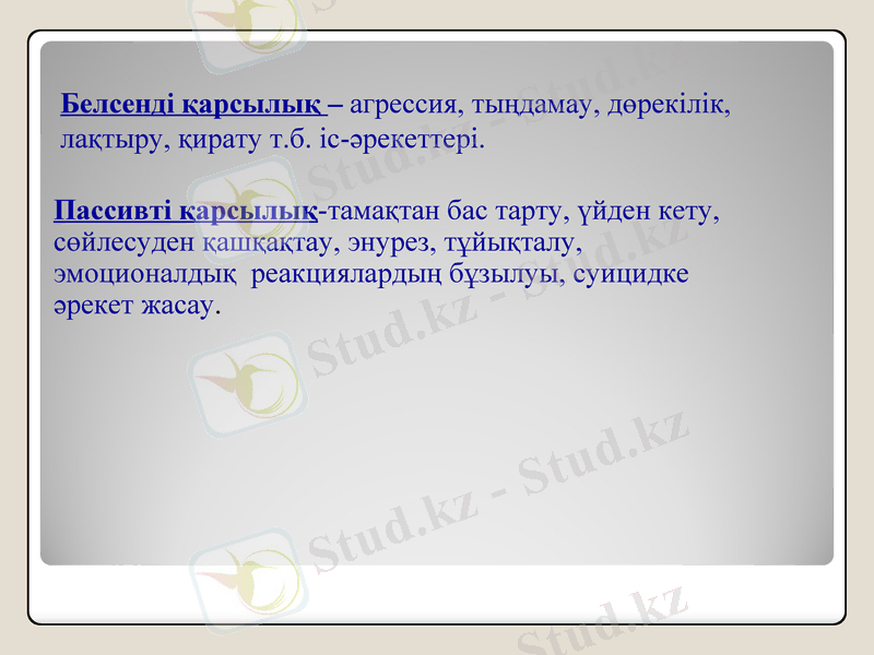 Slide 19
