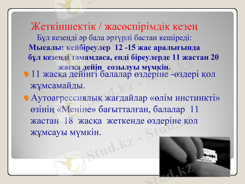 Slide 8