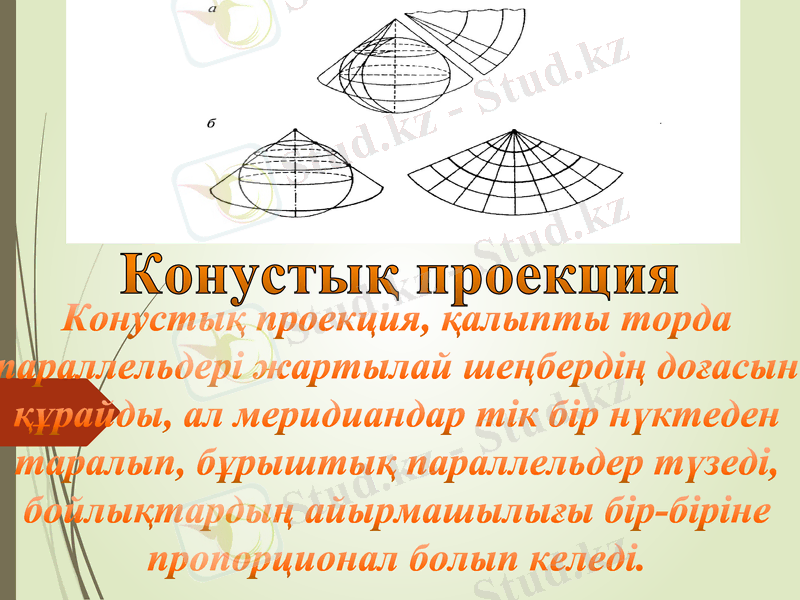 Slide 6