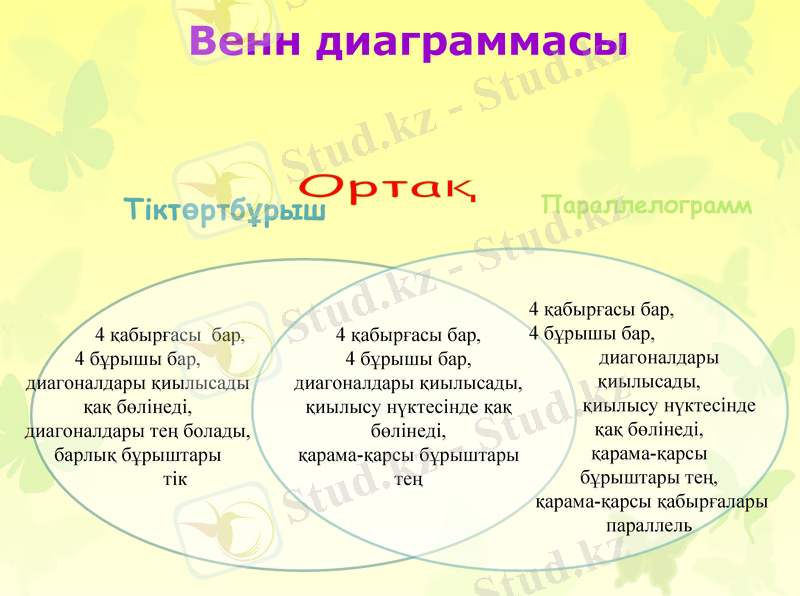 Slide 13
