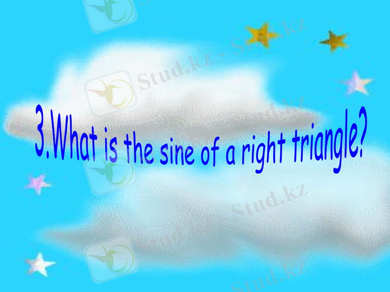 Slide 7
