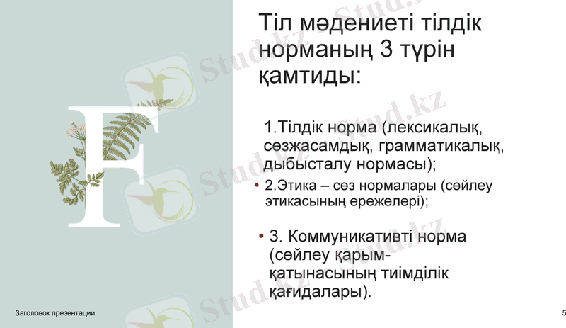 Slide 5