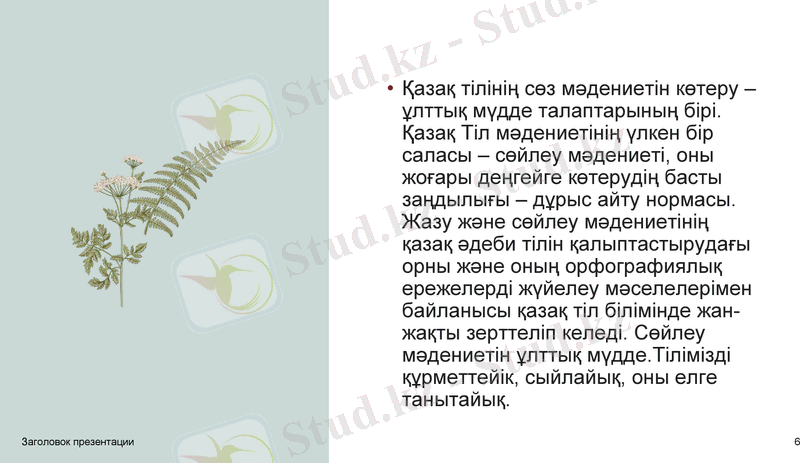 Slide 6
