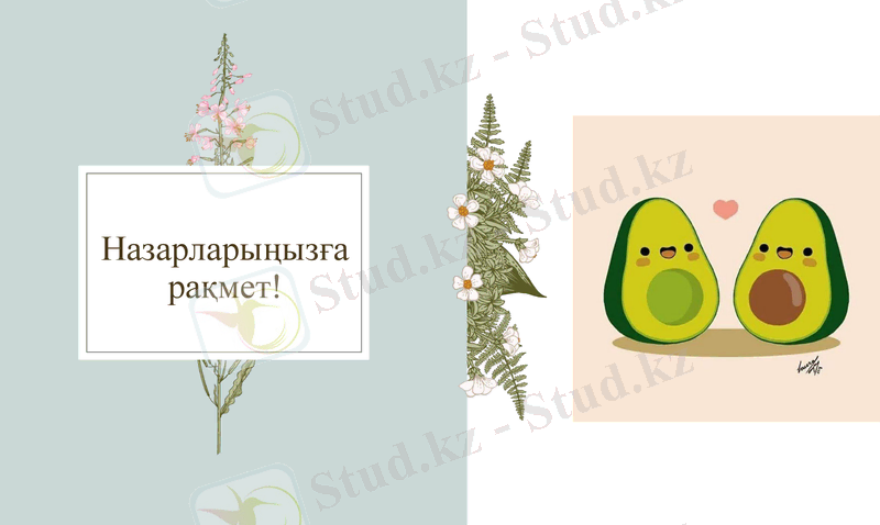 Slide 7