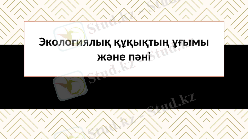 Slide 1