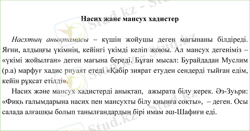 Slide 6