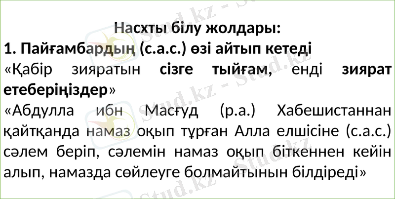 Slide 7