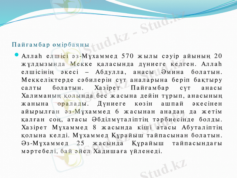 Slide 3