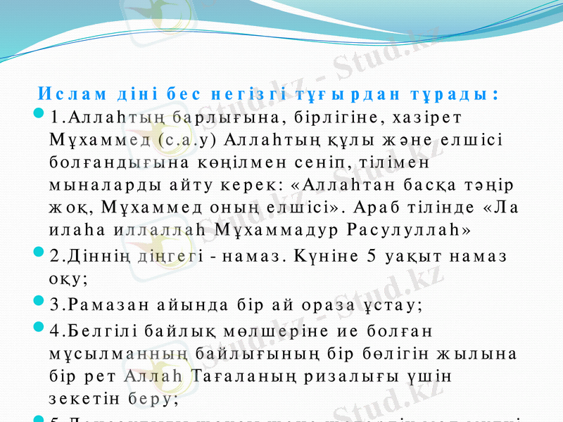 Slide 6