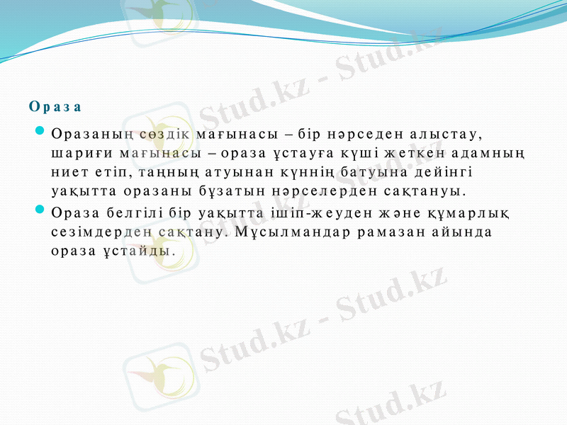 Slide 8