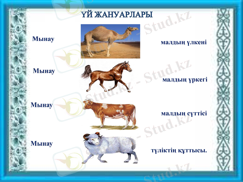 Slide 14