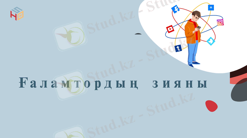 Slide 8