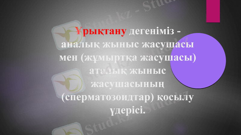 Slide 10