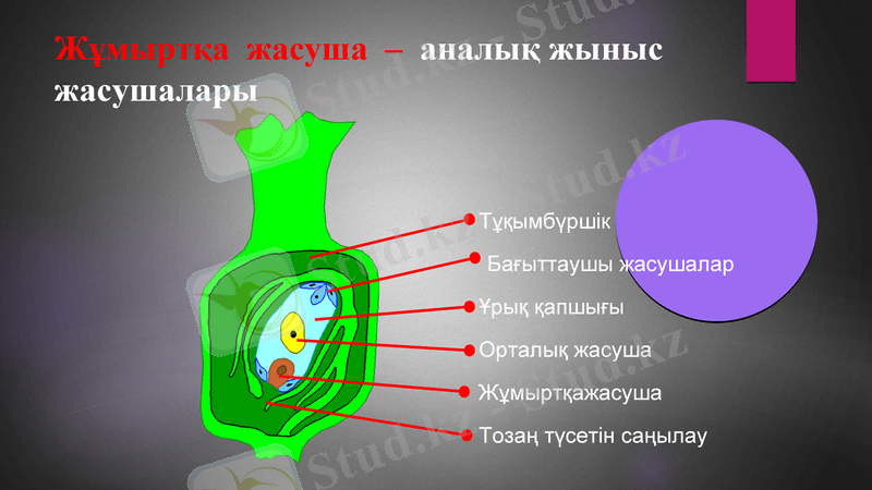 Slide 12