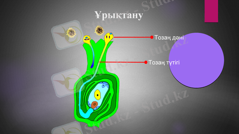 Slide 13